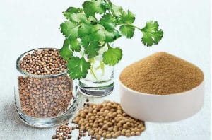 Coriander seeds for fertility, 5 emerging benefits and side effects 6 Coriander seeds for fertility