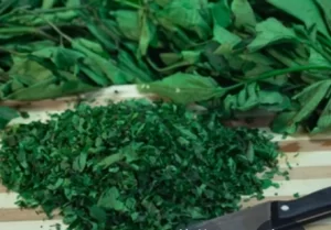Fluted pumpkin leaf benefits 