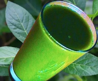 Bitter Leaf Benefits On Fertility