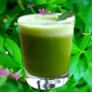 Fertility benefits of waterleaf