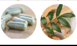 Tongkat Ali for fertility 