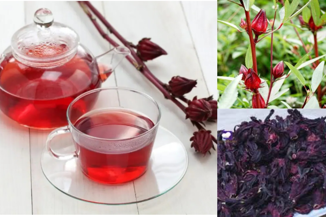 Hibiscus Tea For Fertility
